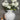 Styling our Darcy Stone Vase